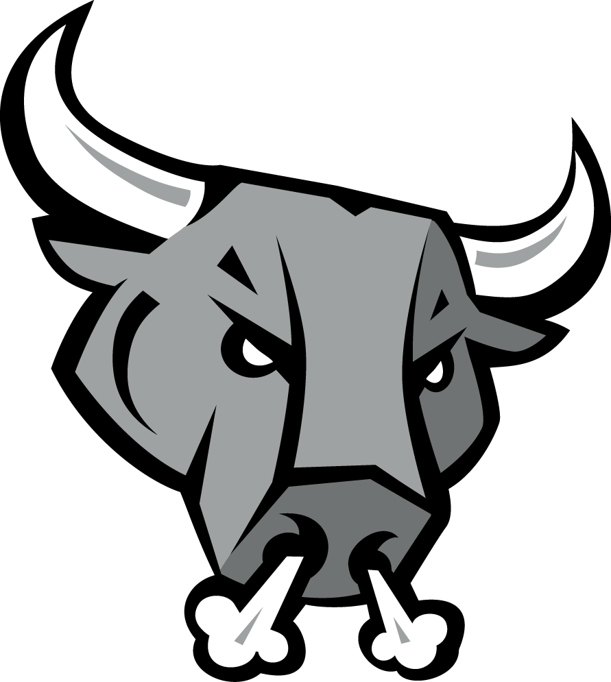 San Antonio Rampage 2006 07-Pres Secondary Logo vinyl decal